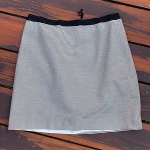 LOFT  Skirt